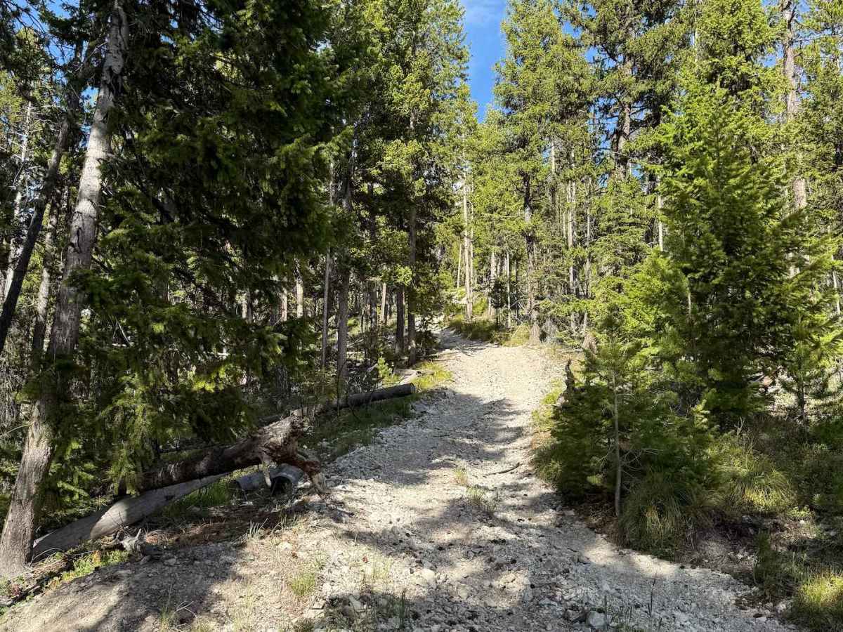 Patterson Trail trail photo