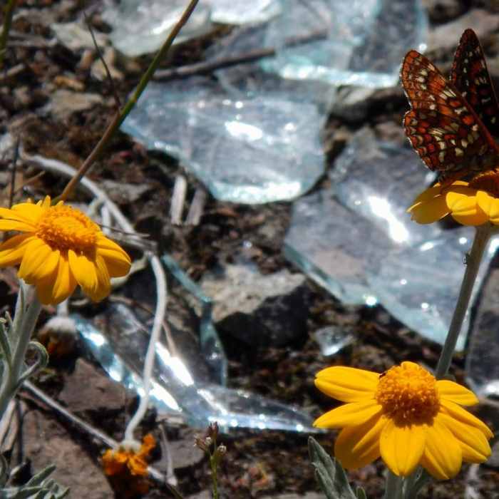 Near Dome Rock + Tumble Lake Hike