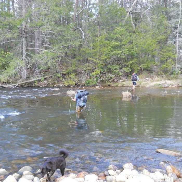 Near Linville Gorge Trail