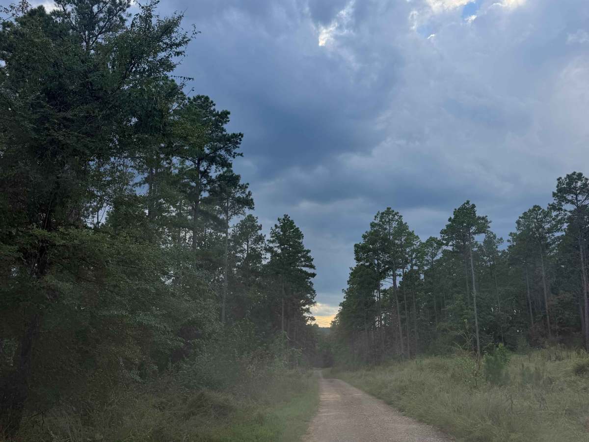 Boyette trail photo