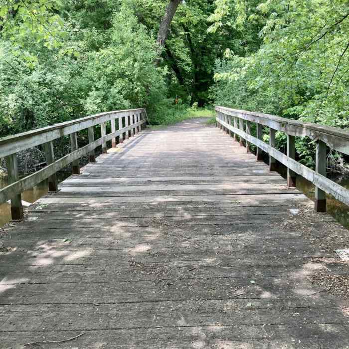 Near Hayden Lollipop Loop