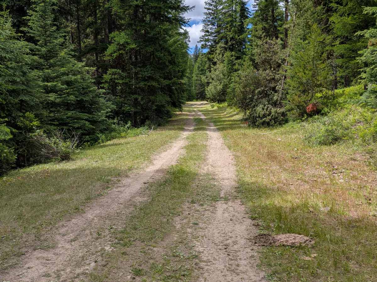 FS 3700-415 trail photo