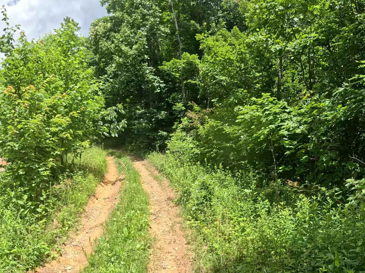 W2E photo 2