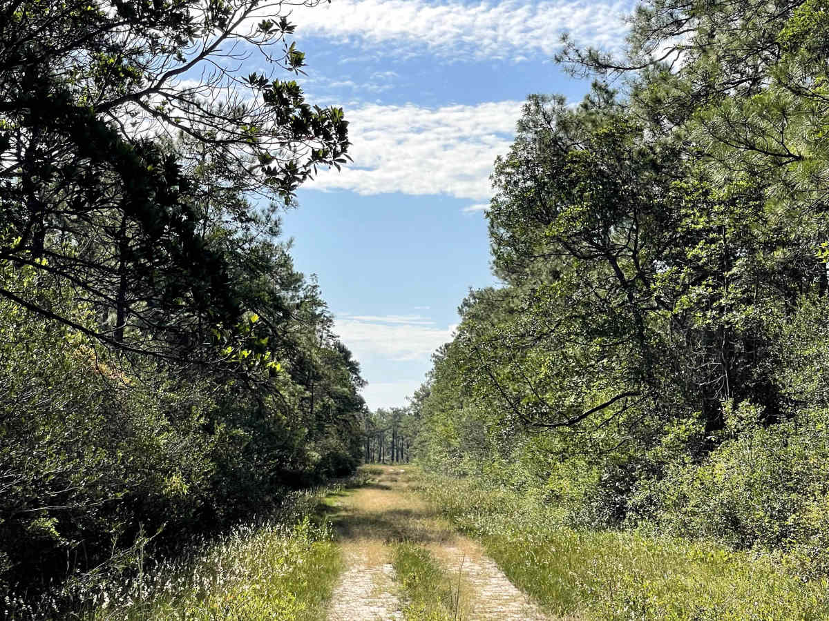 Lenoir Road photo 2