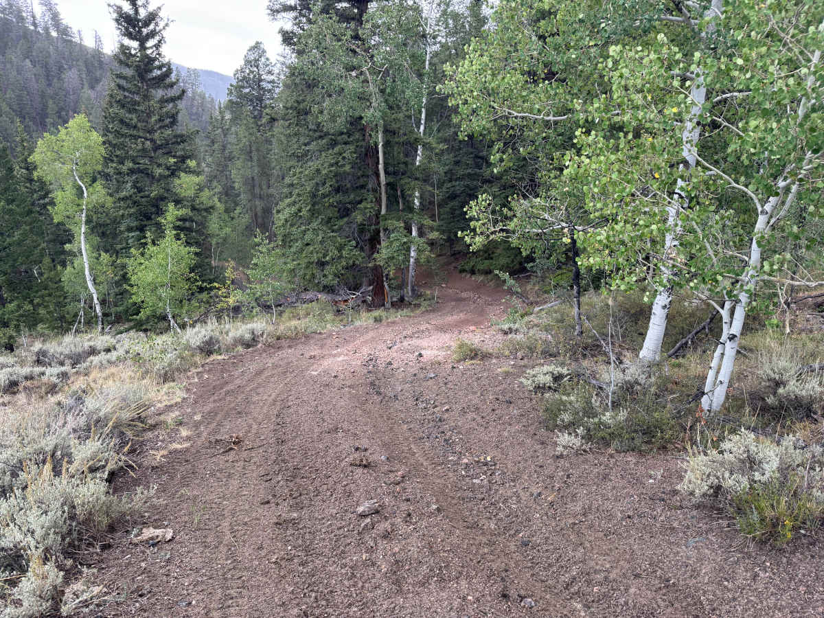 East Willow Creek photo 3