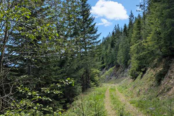 Little Creek
