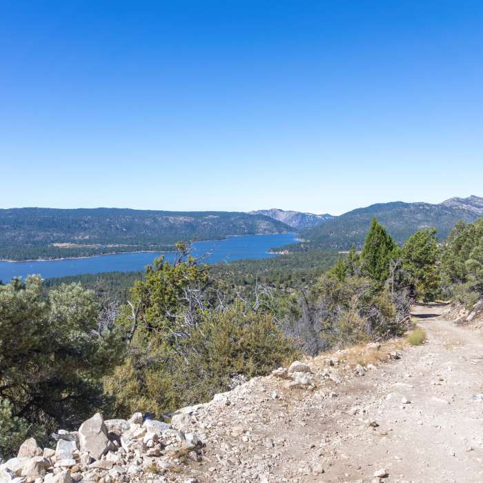 Near Cougar Crest Trail Near Cougar Crest Trail
