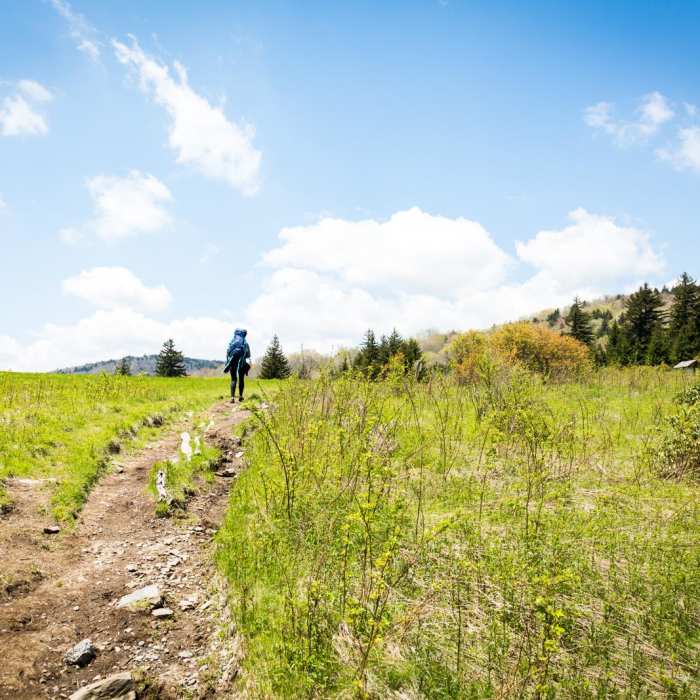 Near Massie Gap to Mt Rogers Summit Out and Back
