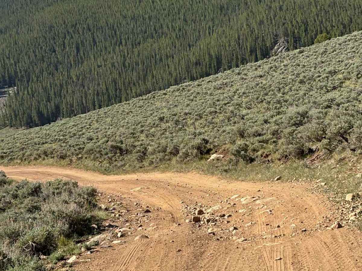 Cow Creek Connector Road photo 6