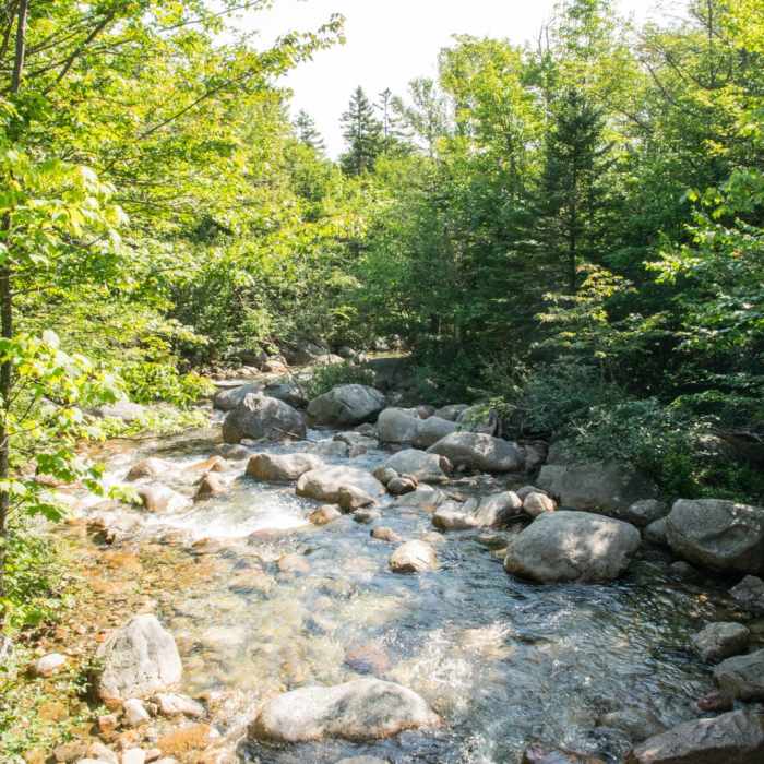 Near South Turner Mountain via Sandy Stream Pond