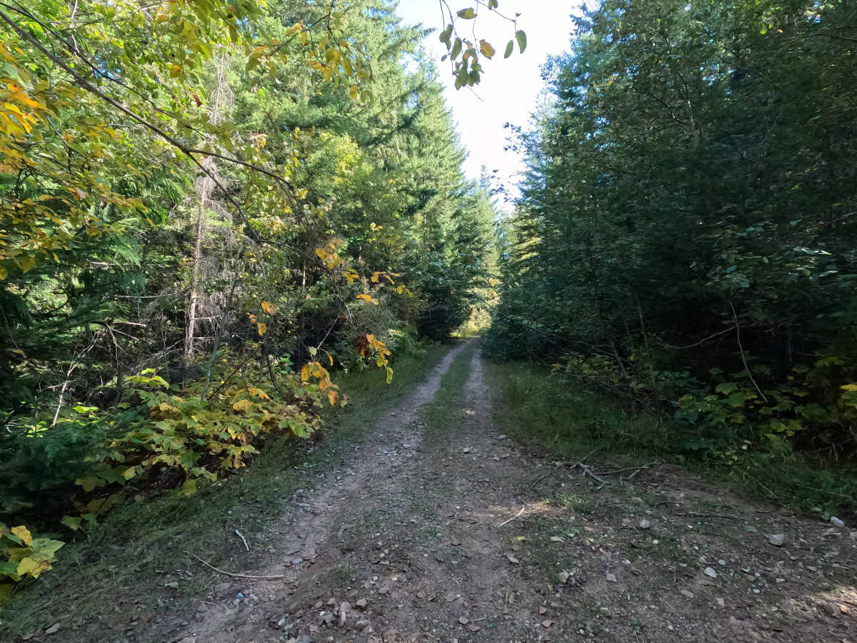 Old Hanson Creek - FS 9413020 photo 3