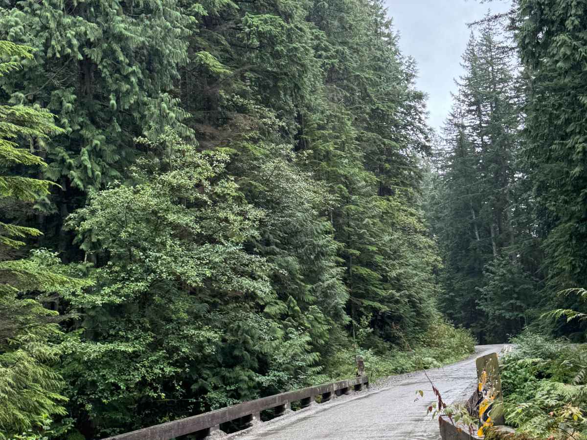 Lost Creek photo 5