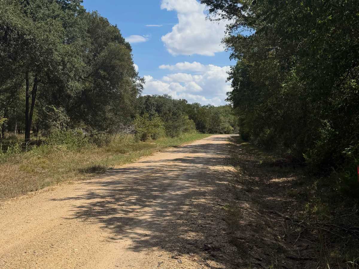 County Road 250 Loop photo 2