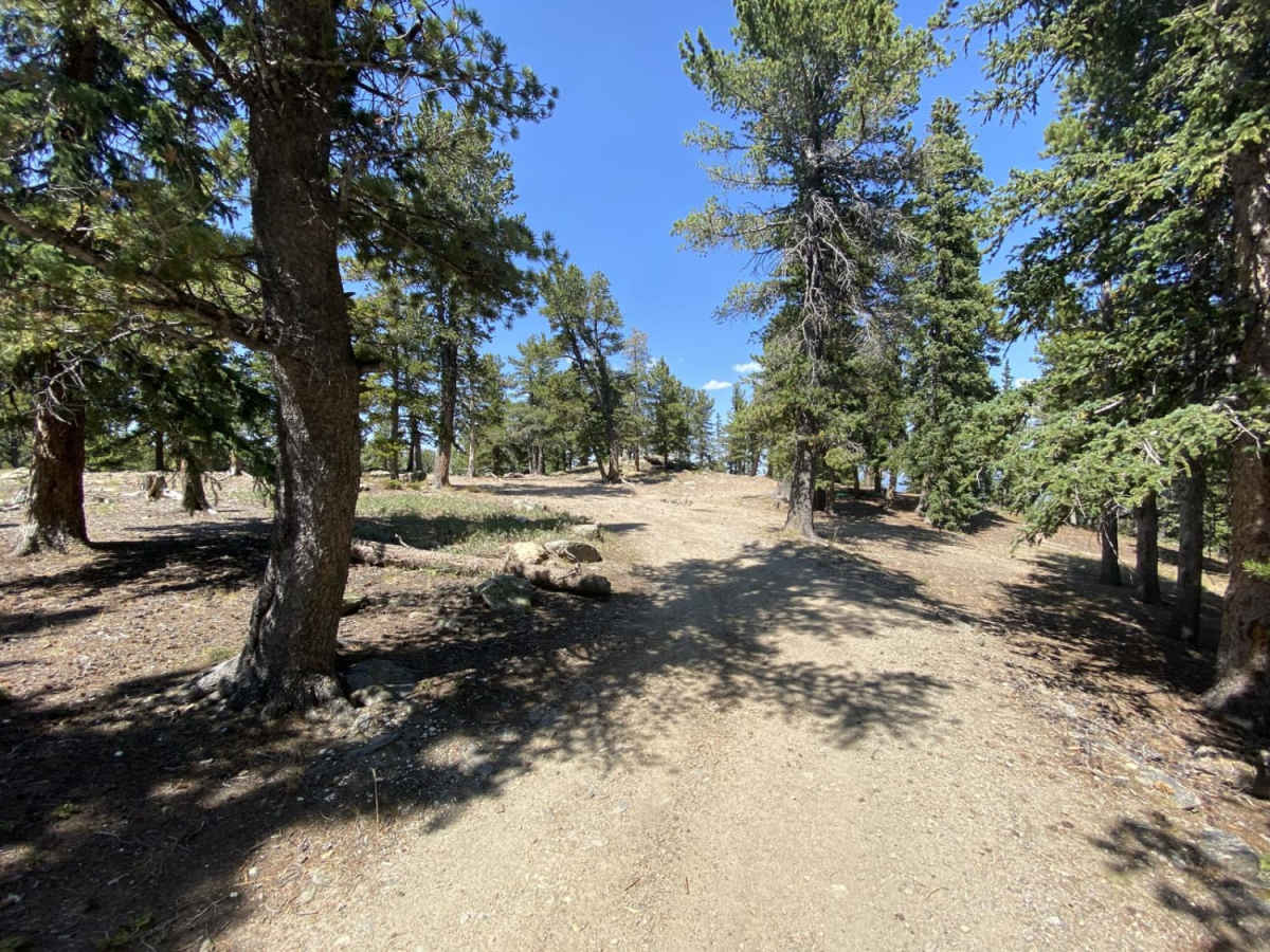 Old Squaw Pass East photo 2