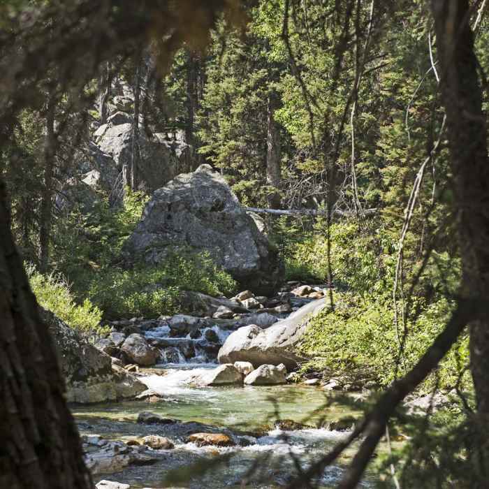 Near Granite Canyon