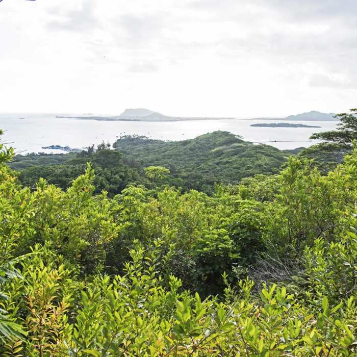 Near Pu'u Ma'eli'eli Trail Near Pu'u Ma'eli'eli Trail