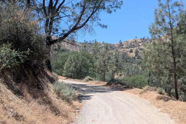 Old State Road South