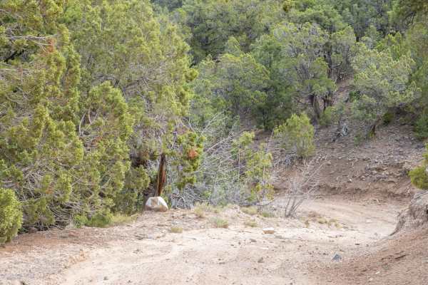 Teah Flat Road