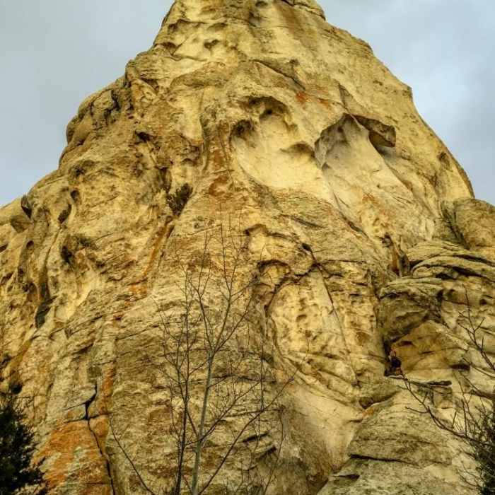 Near Creekside Towers Hiking Trail Near Creekside Towers Hiking Trail