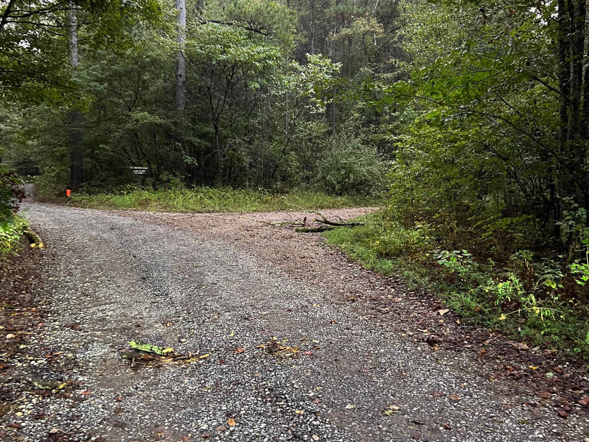 Turkey Creek - FS 212B trail photo