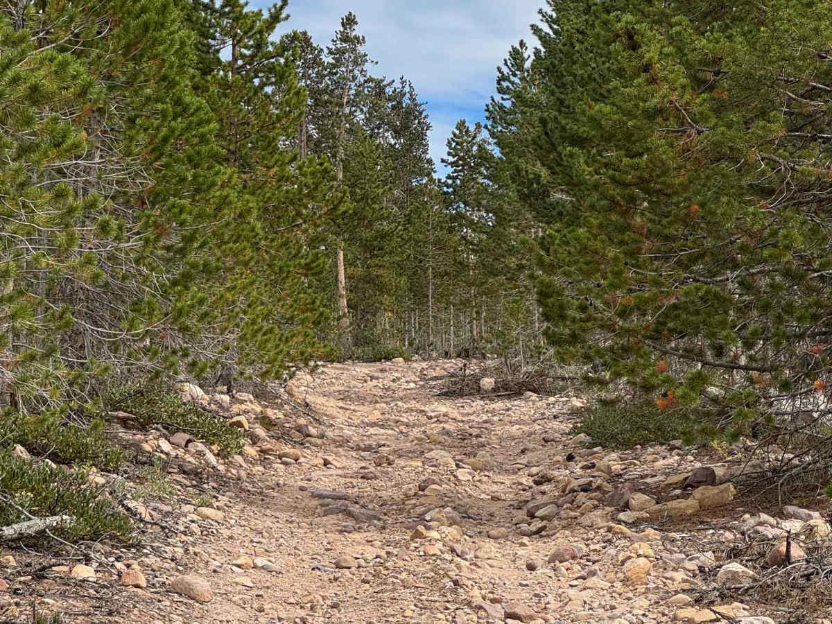 Carter Creek West photo 4