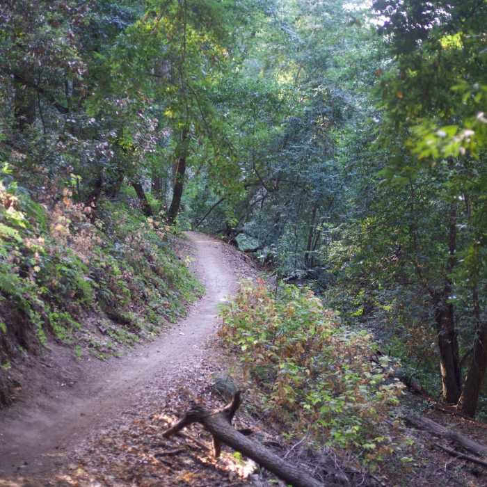 Near Achistaca Trail
