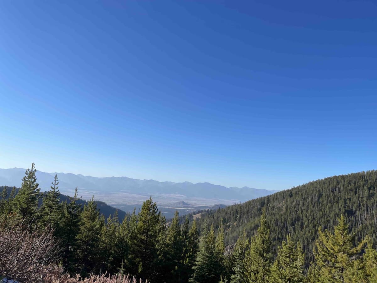 Head of Butterfly trail photo