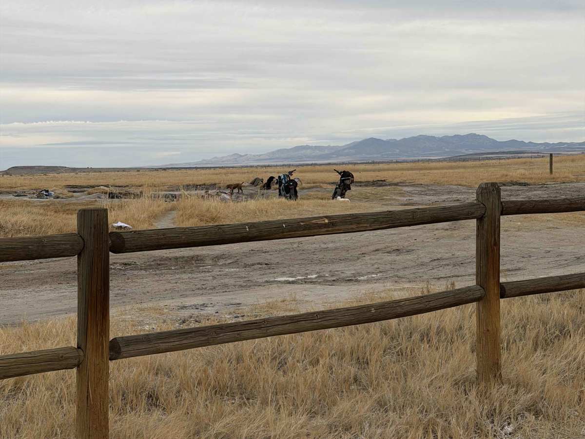 Meadow Hot Springs Road photo 5