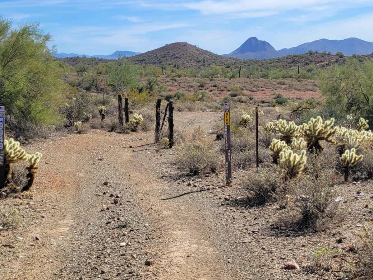 Trail 9949 photo 4
