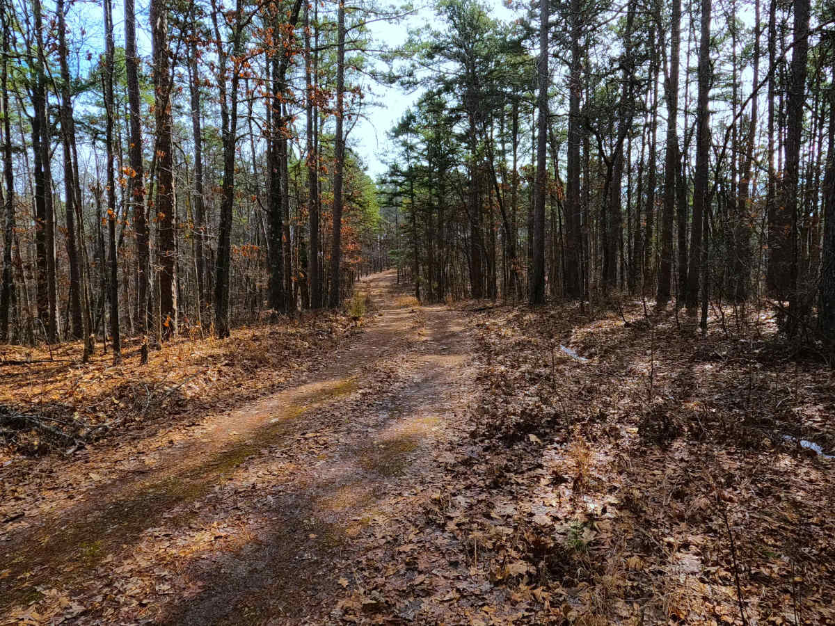 Tucker Road - FS 4099 photo 5
