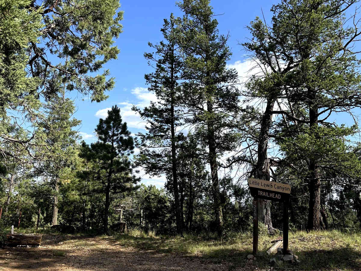 Pendleton Can photo 6