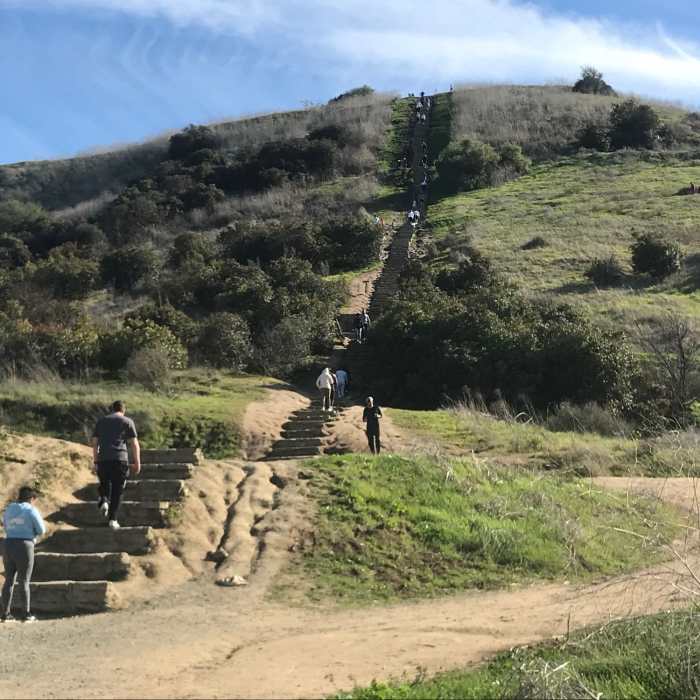 Near Hillside Trail (Baldwin Hills Overlook)