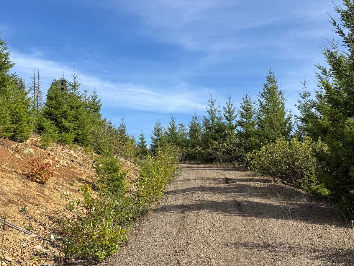 DNR Road 124 photo 5