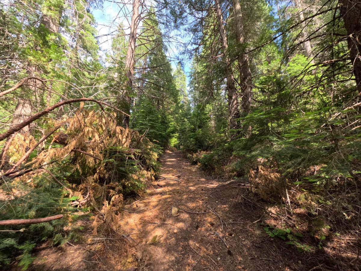 FS 1S12H trail photo