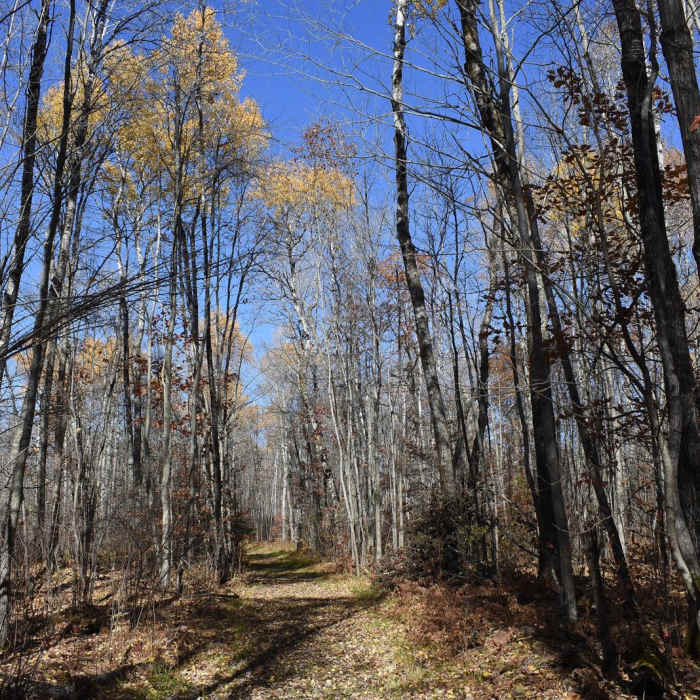 Near Hiking Club Trail Near Hiking Club Trail