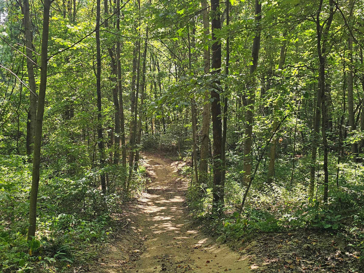 Trail 25 photo 2
