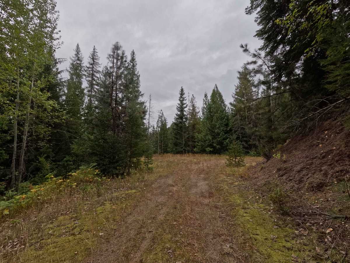 Flat Creek - FS 1095 photo 5