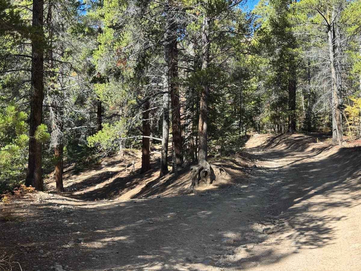South Halfmoon Gulch/Iron Mike Mine trail photo