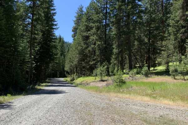 Cub Creek