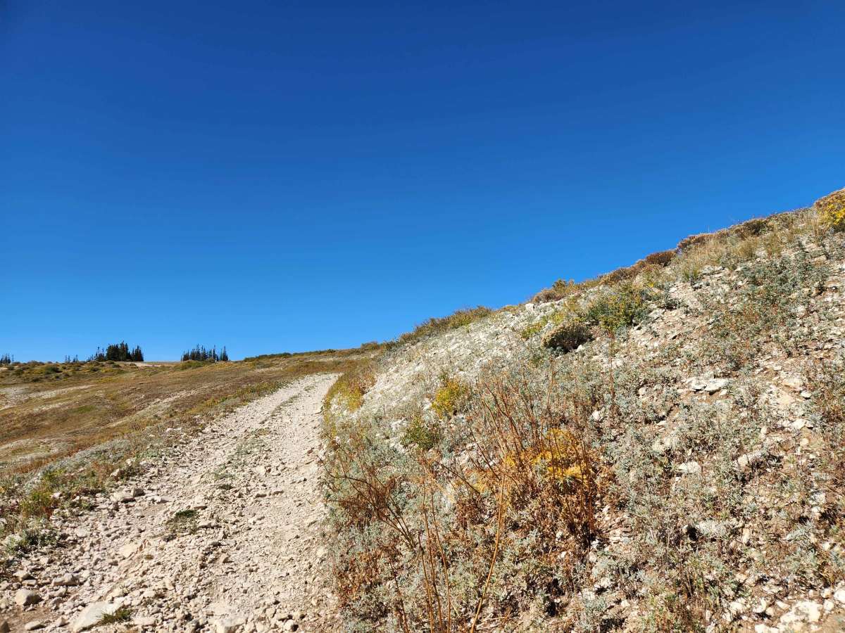 Seeley Creek Guard Station Cutoff - FS 52326 photo 5