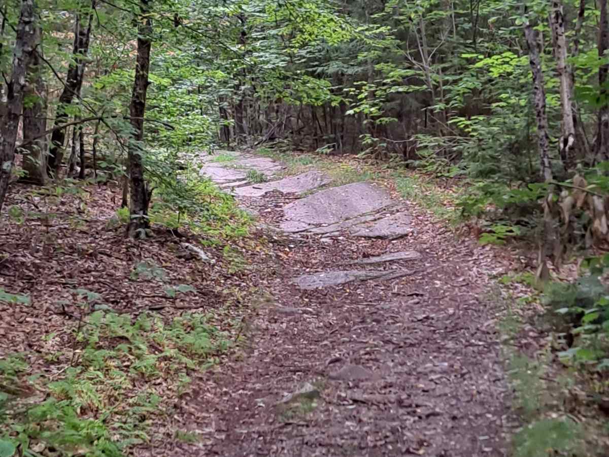 Grantham Mountain Road photo 5
