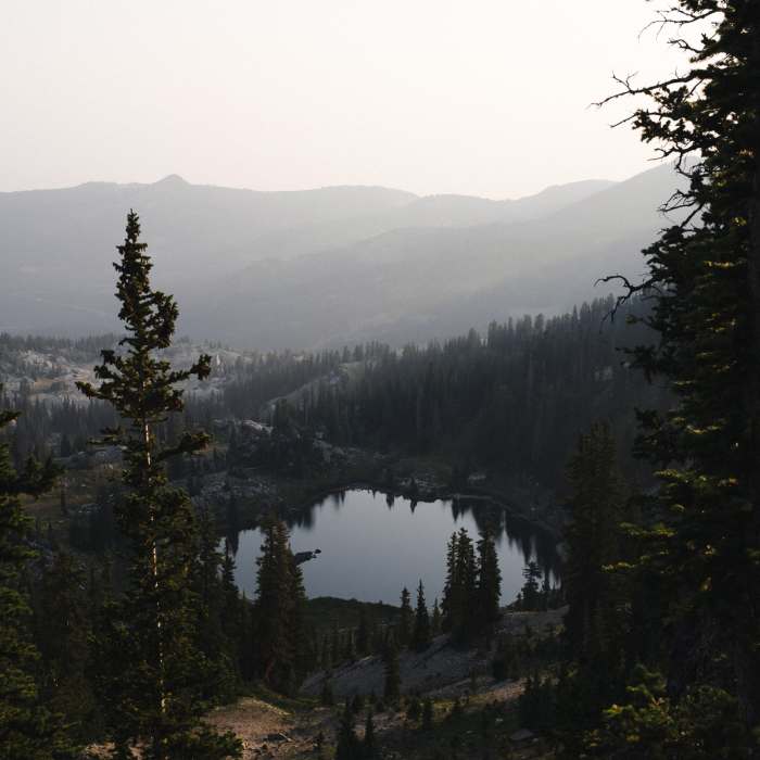 Near Ridge Trail #157