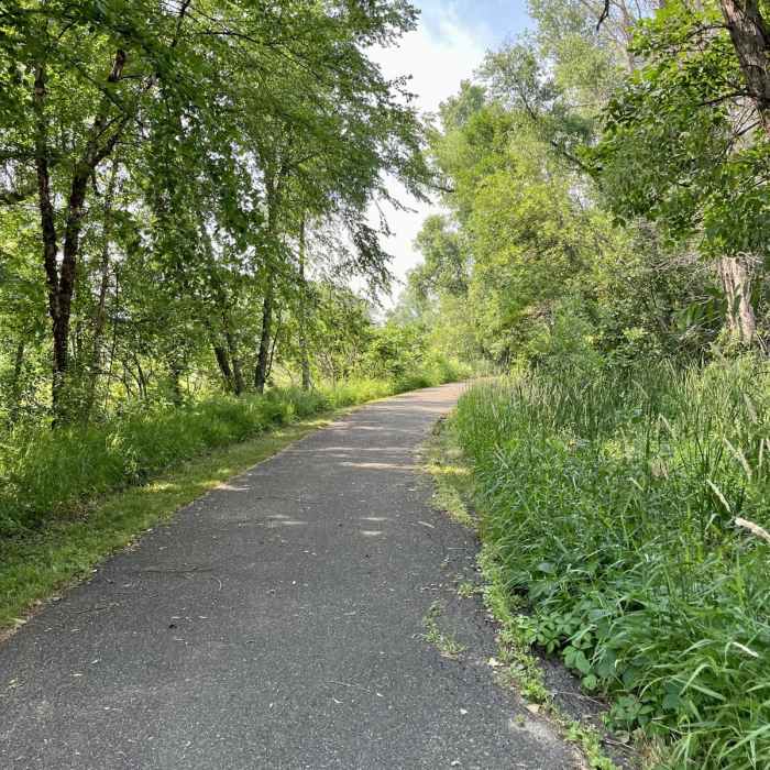 Near Bald Eagle Prairie Preserve