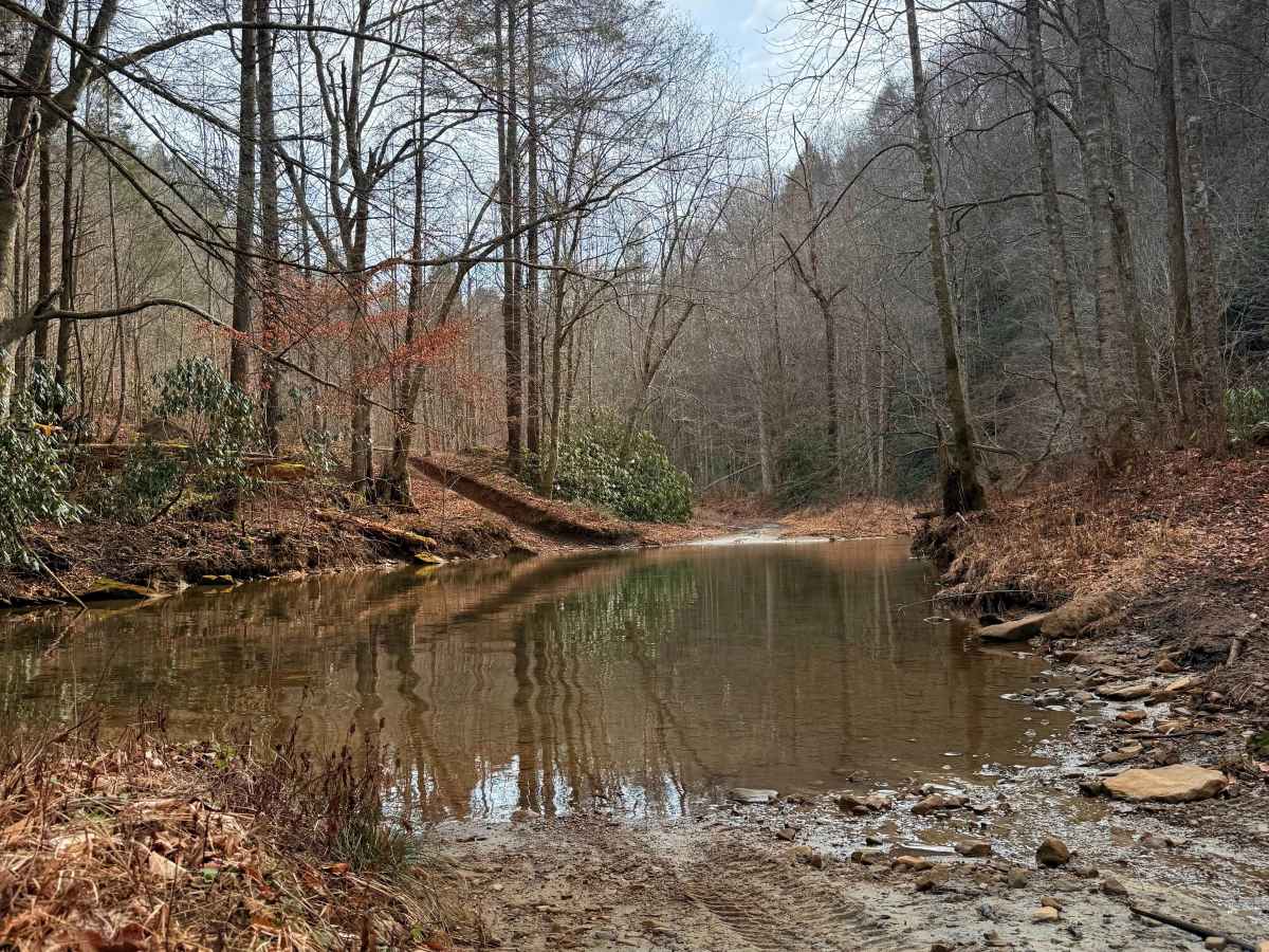 Caney Creek trail photo