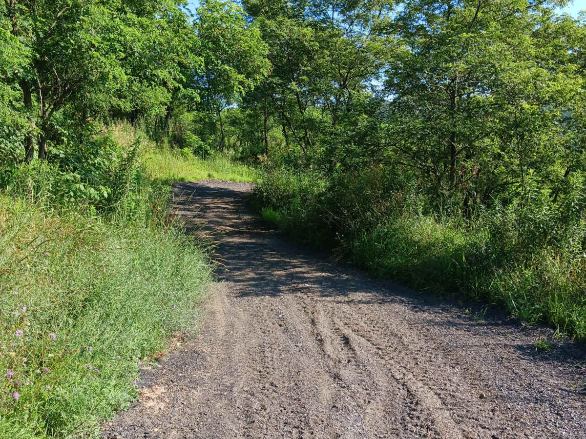 Trail 12X - Rock Run Recreation Area photo 3