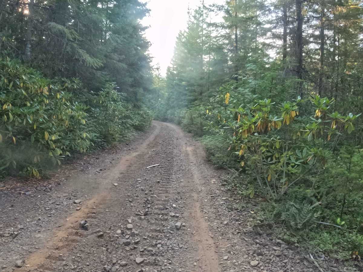 FS 1013190 trail photo