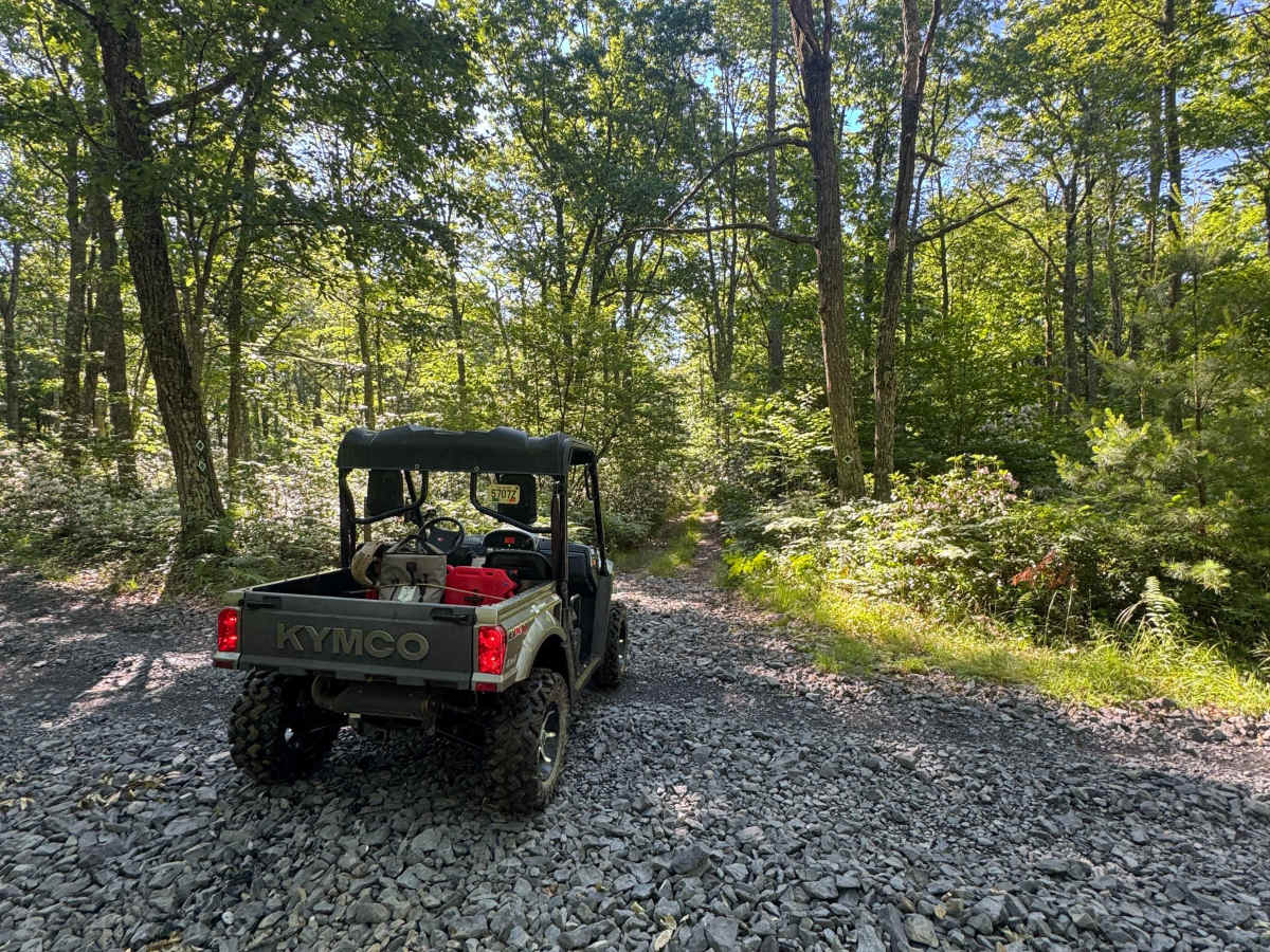 Francis Trail trail photo