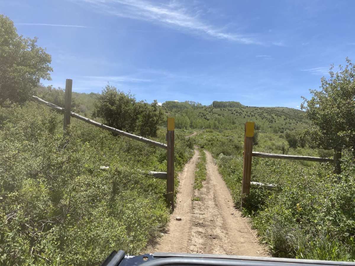 Red Creek photo 6