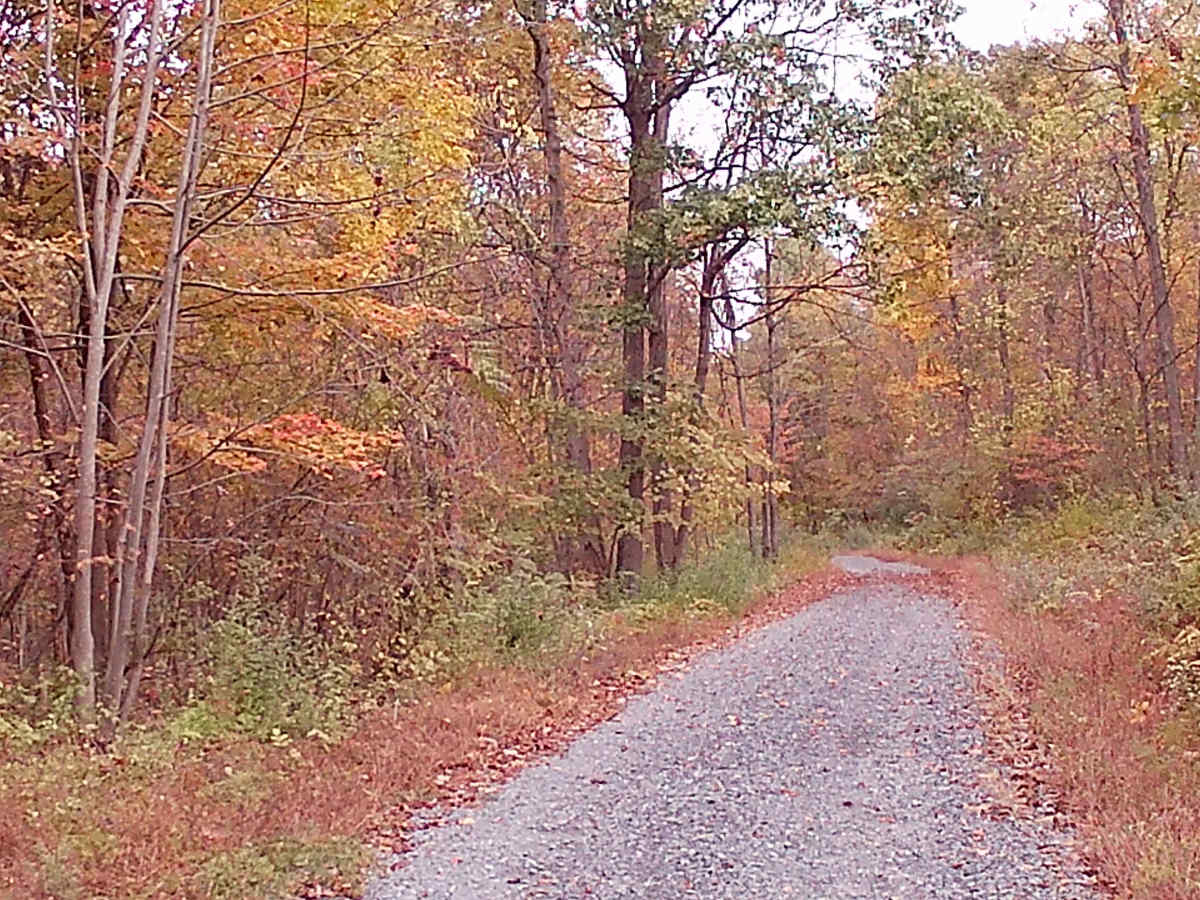 Lamb Gap Trail photo 4
