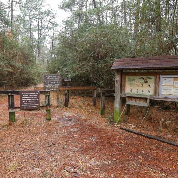 Near Stagecoach Trail